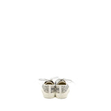 Dior Walk N Sneaker Toile de Jouy Embroidery Grey/Multicolour 3