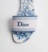 Dior Dway slide White and Blue 3