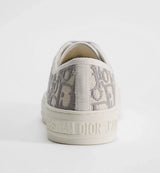 Dior Walk'n'Dior Sneaker Grey 4