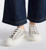 Dior Walk'n'Dior Sneaker Grey 5