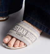 Dior Dway slide Gray 3