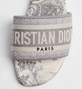 Dior Dway slide Gray 5