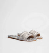 Dior Dway slide Gray 6
